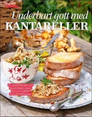 sondag-20200726_000_00_00_078.pdf