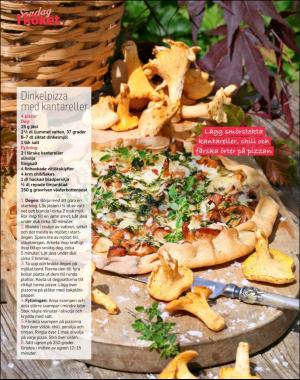 sondag-20200726_000_00_00_082.pdf