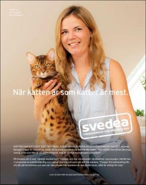 sondag-20200809_000_00_00_006.pdf