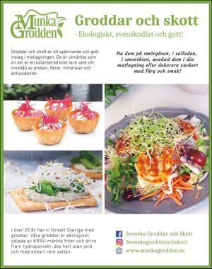 sondag-20200816_000_00_00_024.pdf