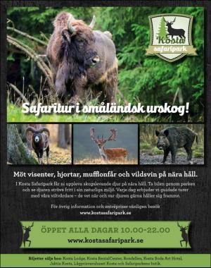 sondag-20200816_000_00_00_083.pdf