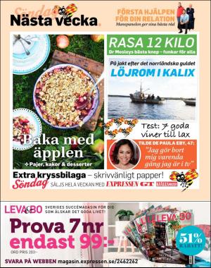 sondag-20200816_000_00_00_105.pdf