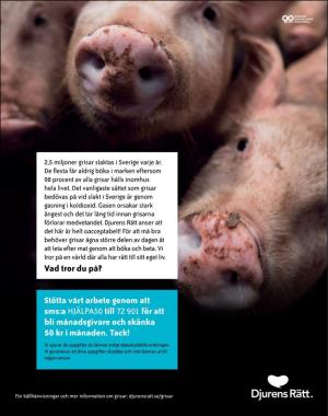 sondag-20200906_000_00_00_006.pdf