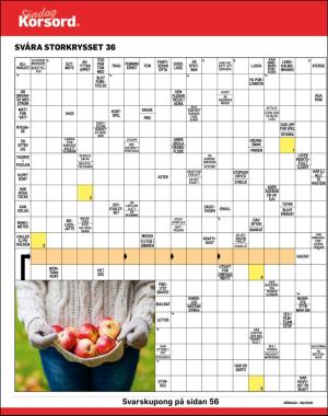 sondag-20200906_000_00_00_040.pdf