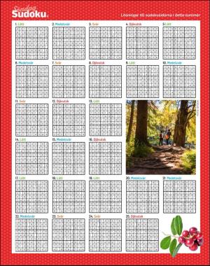 sondag-20200906_000_00_00_062.pdf