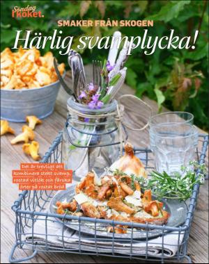 sondag-20200927_000_00_00_074.pdf