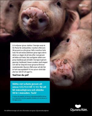 sondag-20201018_000_00_00_092.pdf