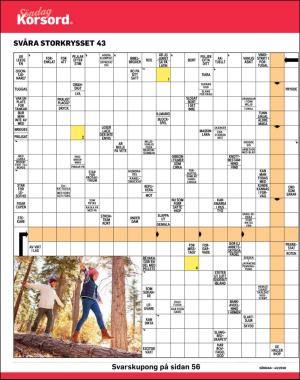 sondag-20201025_000_00_00_040.pdf