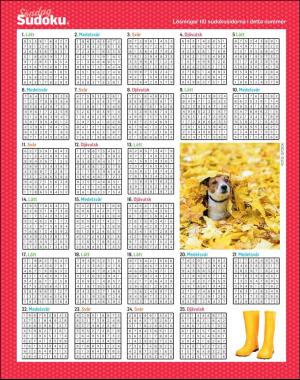 sondag-20201101_000_00_00_064.pdf