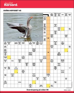 sondag-20201108_000_00_00_038.pdf