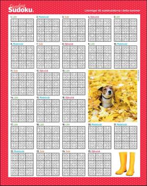 sondag-20201108_000_00_00_062.pdf