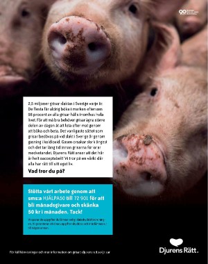 sondag-20201122_000_00_00_091.pdf