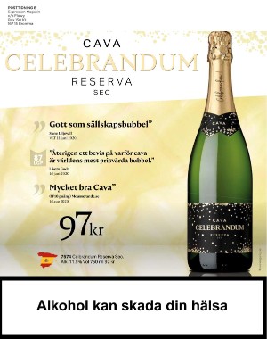 sondag-20201122_000_00_00_100.pdf