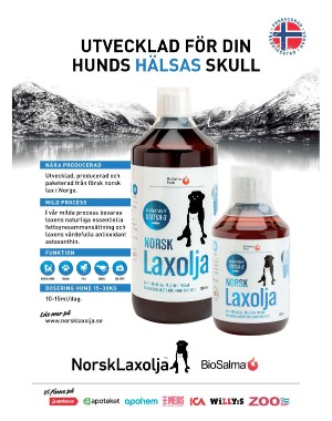 sondag-20201129_000_00_00_036.pdf