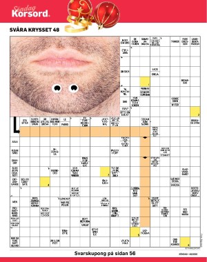 sondag-20201129_000_00_00_038.pdf