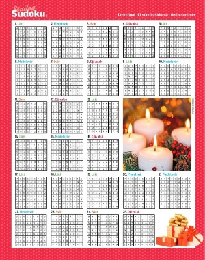 sondag-20201129_000_00_00_062.pdf