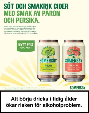 sondag-20201129_000_00_00_063.pdf