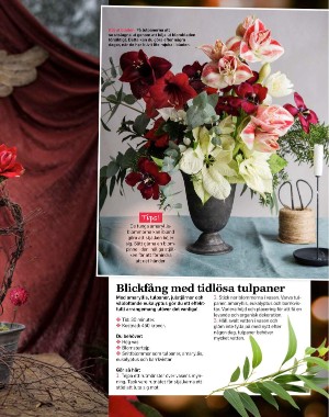 sondag-20201129_000_00_00_073.pdf