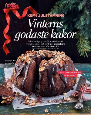 sondag-20201129_000_00_00_076.pdf