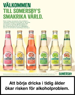 sondag-20201213_000_00_00_064.pdf