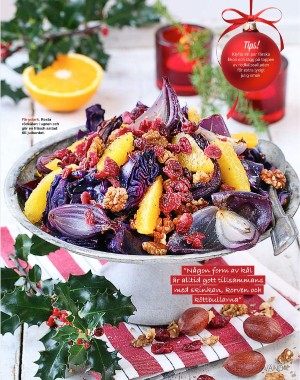 sondag-20201213_000_00_00_075.pdf