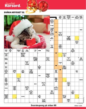 sondag-20201220_000_00_00_040.pdf