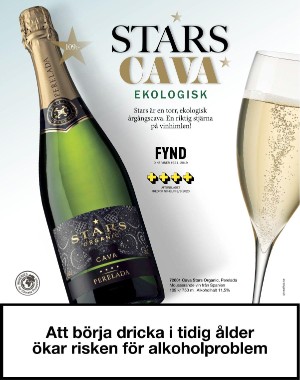 sondag-20201227_000_00_00_002.pdf