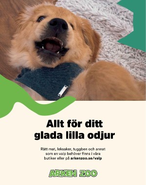 sondag-20201227_000_00_00_006.pdf