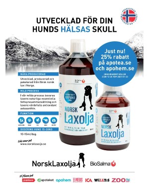 sondag-20201227_000_00_00_028.pdf