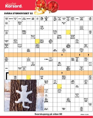 sondag-20210103_000_00_00_044.pdf