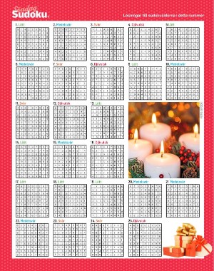 sondag-20210103_000_00_00_066.pdf