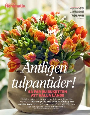 sondag-20210110_000_00_00_070.pdf