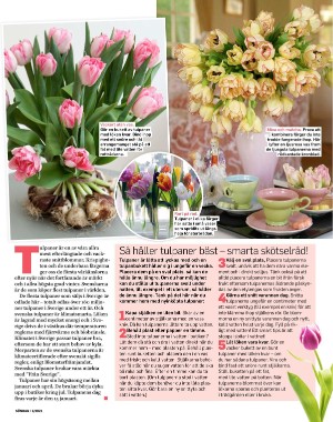 sondag-20210110_000_00_00_071.pdf