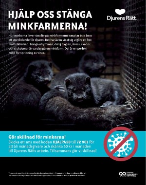 sondag-20210117_000_00_00_021.pdf