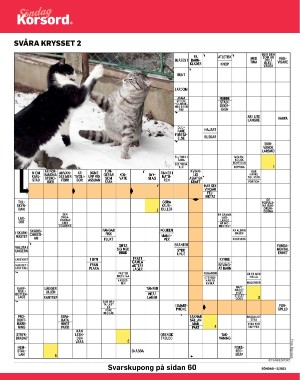 sondag-20210117_000_00_00_042.pdf