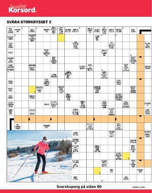 sondag-20210117_000_00_00_044.pdf