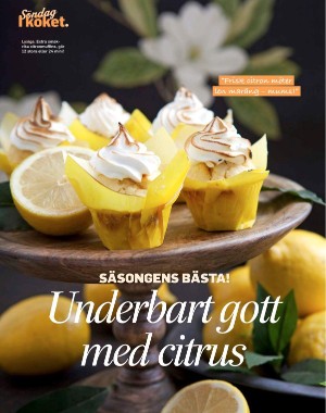 sondag-20210124_000_00_00_082.pdf