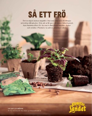 sondag-20210131_000_00_00_009.pdf