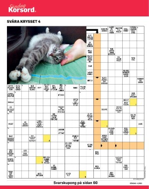 sondag-20210131_000_00_00_042.pdf