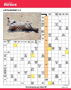 sondag-20210131_000_00_00_046.pdf