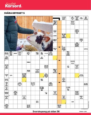 sondag-20210207_000_00_00_038.pdf