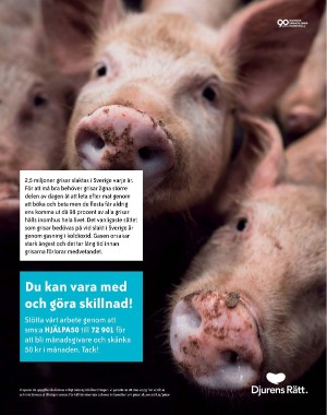 sondag-20210214_000_00_00_063.pdf