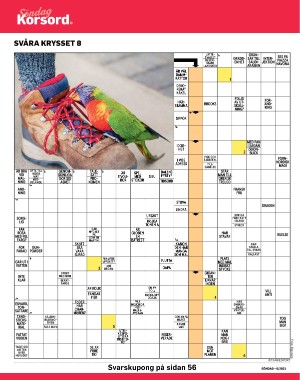 sondag-20210228_000_00_00_038.pdf