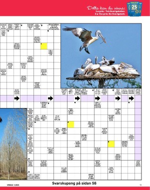 sondag-20210307_000_00_00_051.pdf