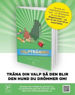 sondag-20210314_000_00_00_016.pdf