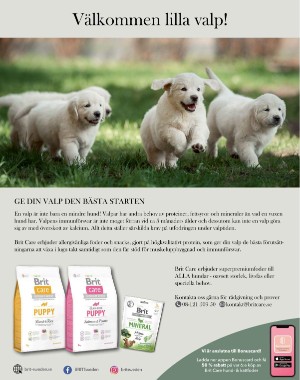 sondag-20210314_000_00_00_018.pdf