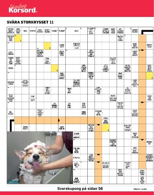 sondag-20210321_000_00_00_040.pdf