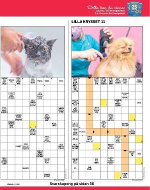 sondag-20210321_000_00_00_041.pdf