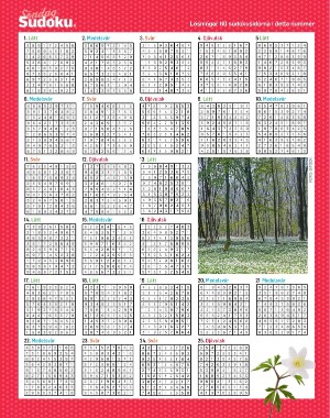 sondag-20210411_000_00_00_066.pdf