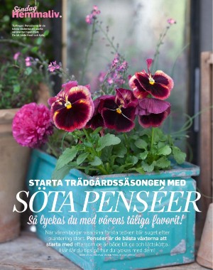 sondag-20210411_000_00_00_076.pdf